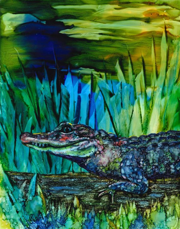 THE INVESTI-GATOR (Florida Alligator)