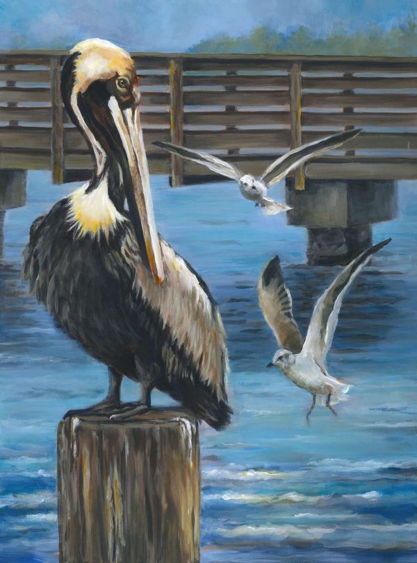 I GOT HERE FIRST! (Florida Brown Pelican and Seagulls)