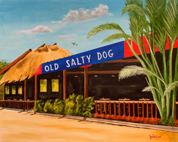 Old Salty Dog On Siesta Key