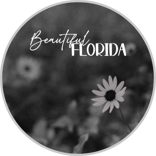 "Swamp Sunflower" | Beautiful Florida Photography Sticker | Beautiful, Florida | Black & White Analog Photography - Image 2