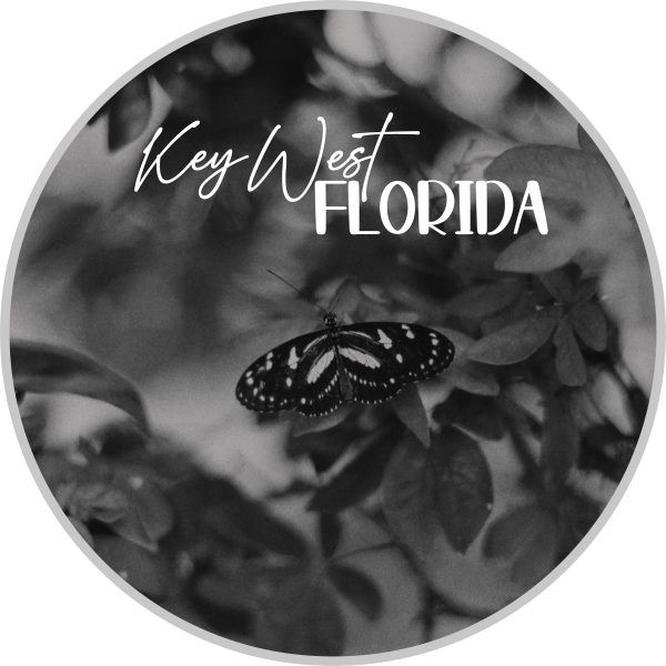 "Duval Street Butterfly" | Beautiful Florida Photography Sticker | Key West, Florida | Black & White Analog Photography - Image 2