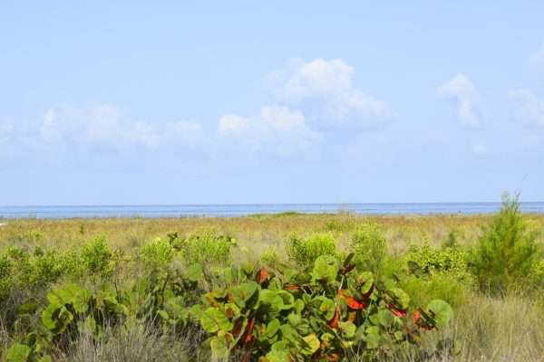 Coastal Reverie - 8x10 print