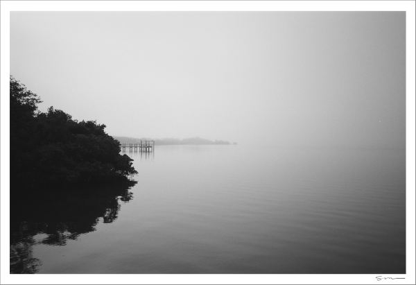 Fog on Lemon Bay