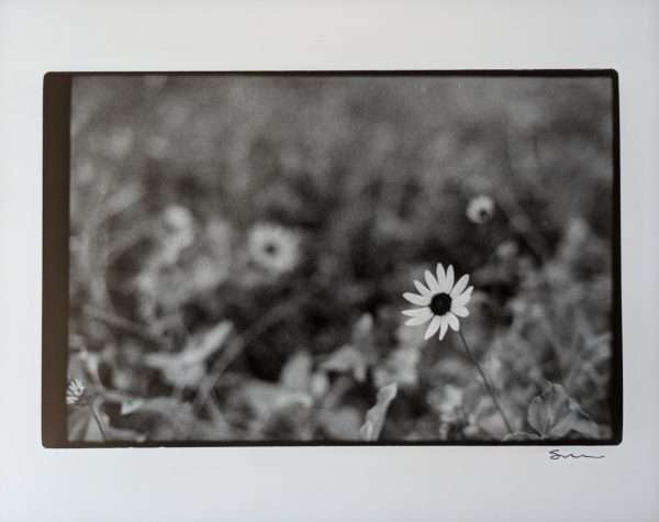 One Silver Gelatin Darkroom Print (8"x10" - Assorted) - Image 14