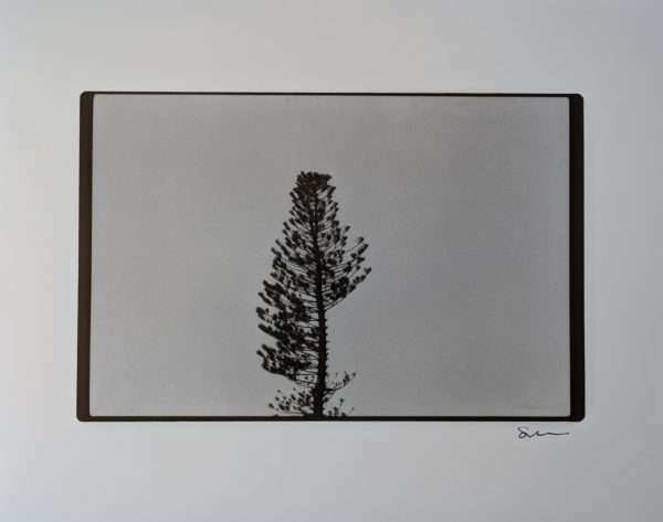 One Silver Gelatin Darkroom Print (8"x10" - Assorted) - Image 12