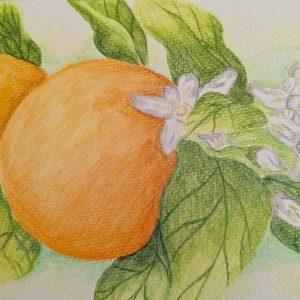 Orange Bliss (8x10 Inches)