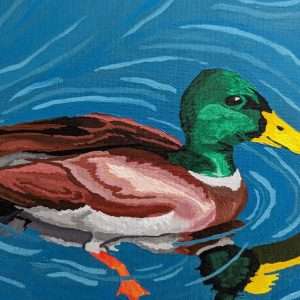 Mallard on Pond (8x10 Inches)