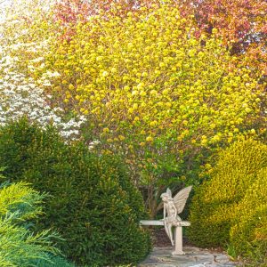 Fairy-in-spring 12x16 photo print