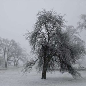Ice storm10x15 photo print