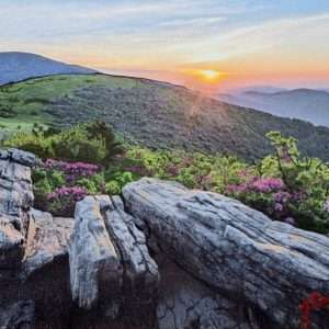Somewhere on the Appalachian trail 11 X 14