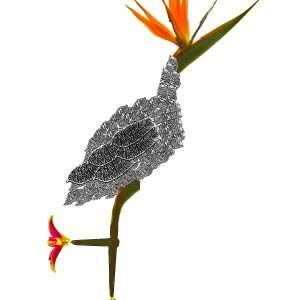 Bird-of-paradise-art-print-12x16