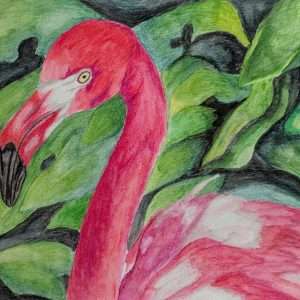 Pink Paradise (9x10 Inches)