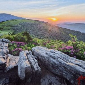 Somewhere on the Appalachian trail 11 X 14
