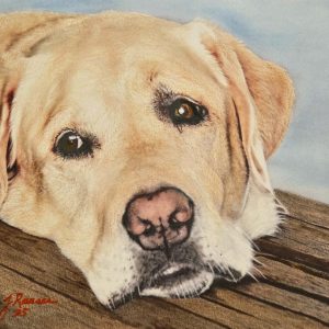 Waiting for his walk