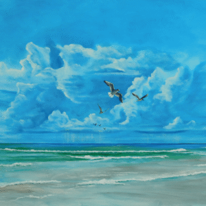 Seagulls On Siesta Key Beach