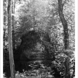 2 Tables Between 2 Trees