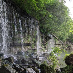 Where Spring Meets The River, TN
