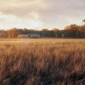"Field of Swaying Life" (8"x10" Print)