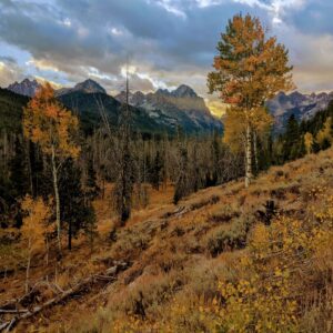 Look for the Light, ID