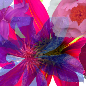 Art-collage-2 print12x18