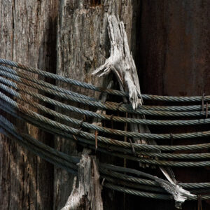 Drift wood 11x14 photo print