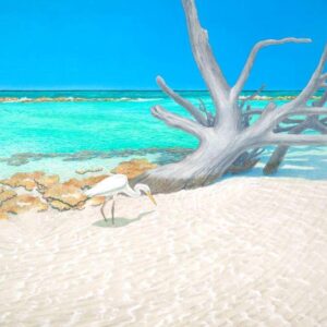 Southeast of Disorder