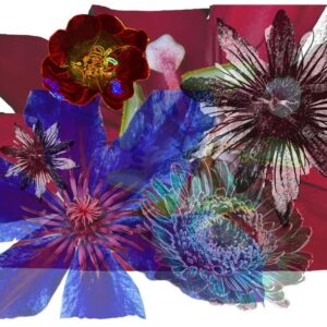 Art-collage-8 10x15 photo print