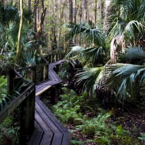 Hammock-park-path 11x14 photo print
