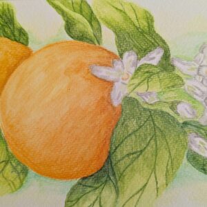 Orange Bliss (8x10 Inches)