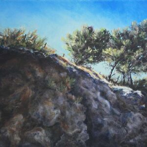 The Fence - 14x18, oils on canvas