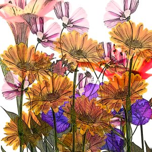 Collage #16--photo art 11x14