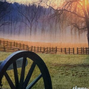 The Wheatfield day 2 Gettysburg