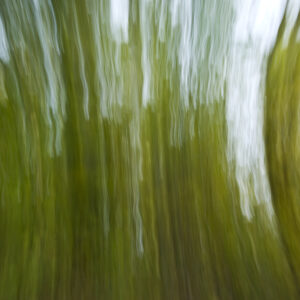 Photo Art Print 12x18