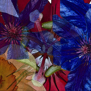 Flower Collage 19 photo print 16x24 inches