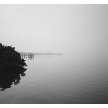 Fog on Lemon Bay